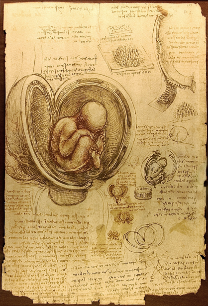 Leonardo+da+Vinci-1452-1519 (1053).jpg